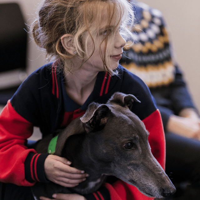 Greyhound Adoption Program at the Library