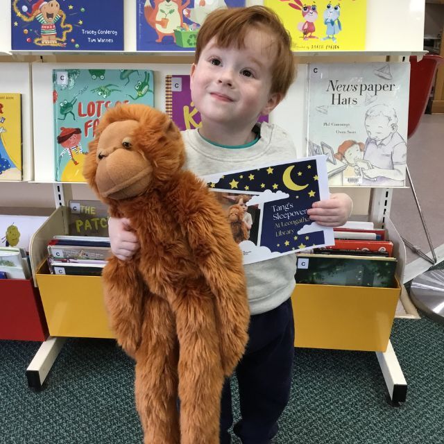 Soft Toy Sleepover: An Adventure in the Library!